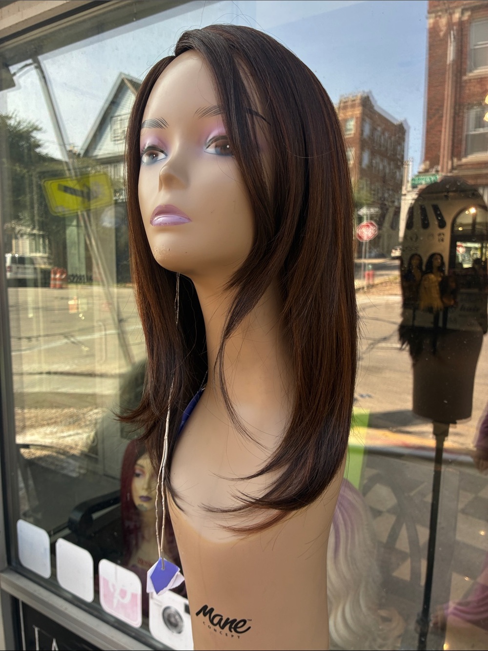 Brown Straight Layered Women's Wig - Sleek Natural Finish